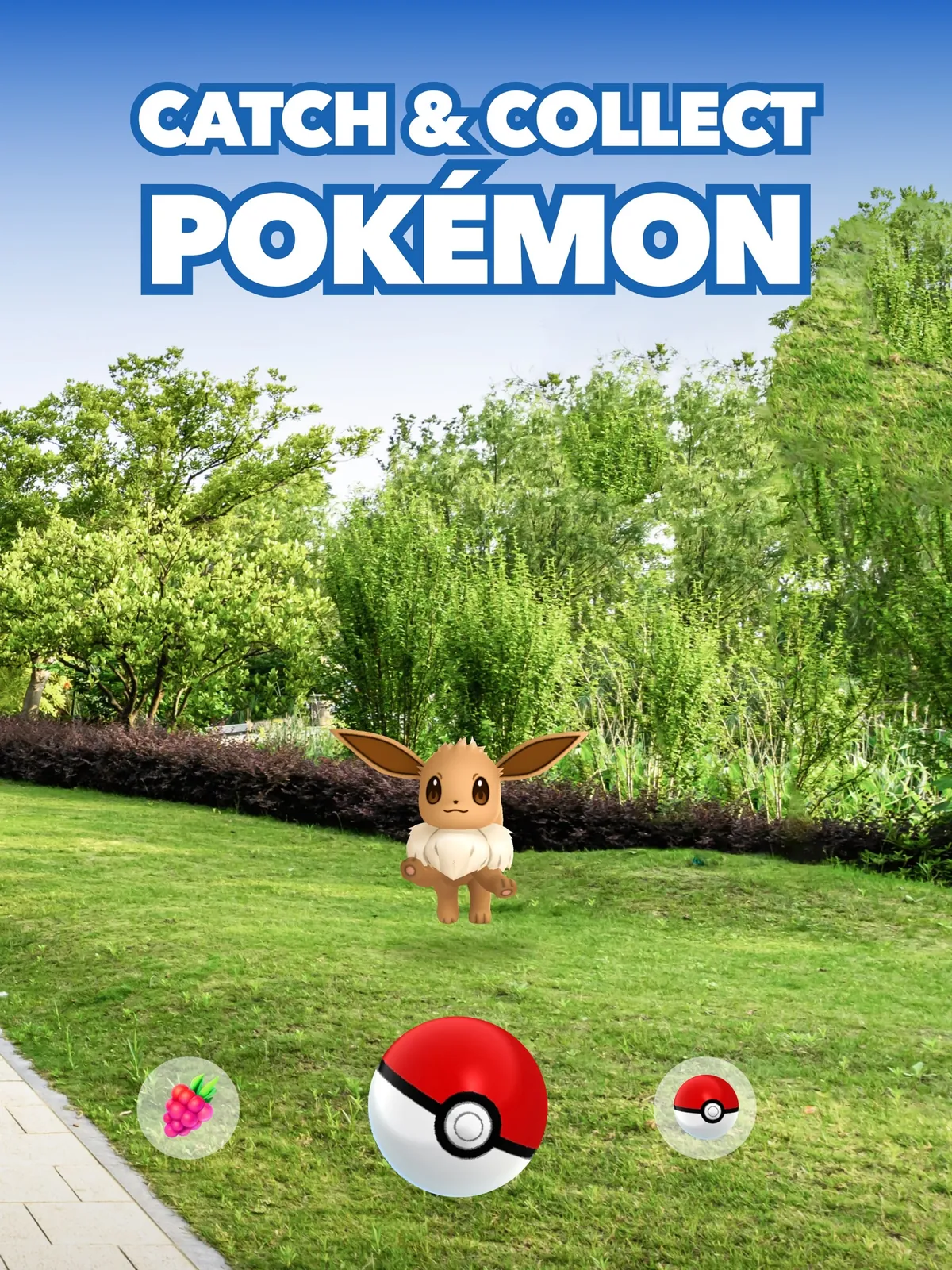 An Eevee stands on a real lawn seen through the phone camera with a Poké Ball ready to throw, captioned 'Catch & collect Pokémon'.